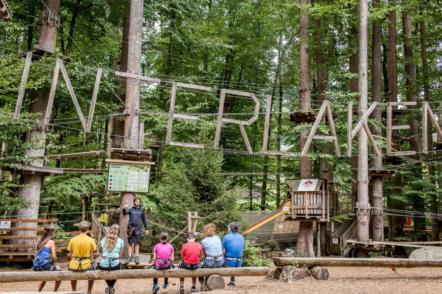Rope Park Interlaken: Climbing Adventure with Entry Ticket - Quick hits