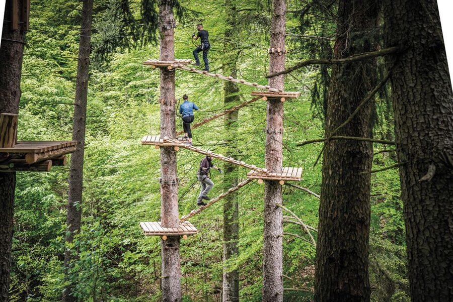 Rope Park Interlaken: Climbing Adventure with Entry Ticket - Price at $58: is it worth it for a family day in Interlaken?