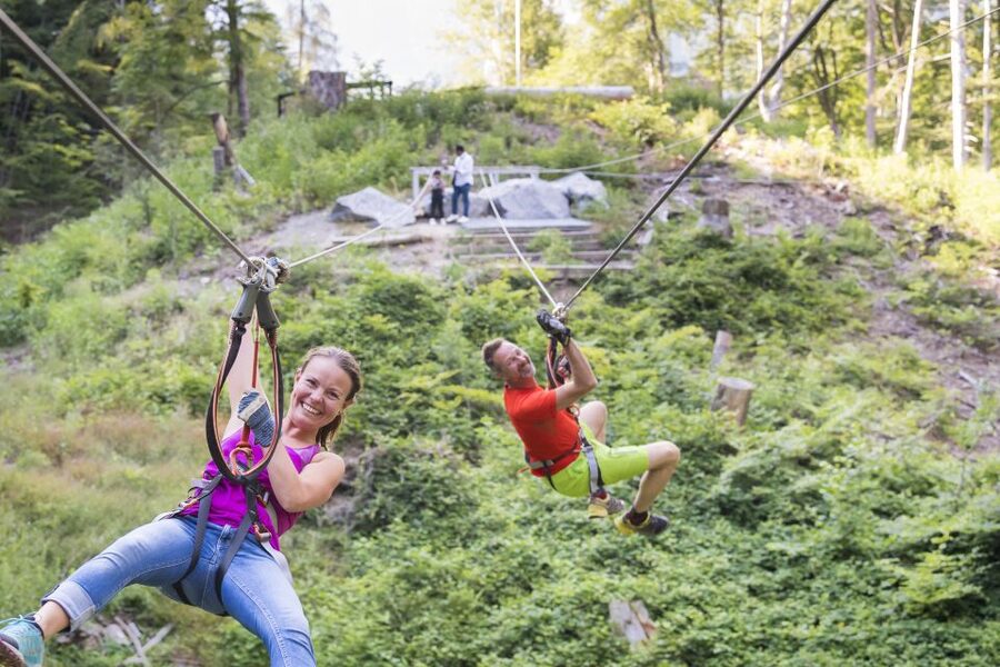 Rope Park Interlaken: Climbing Adventure with Entry Ticket - Rope Park Interlaken, Seilpark Interlaken, in one forest session