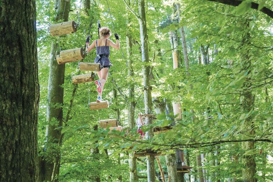 Rope Park Interlaken: Climbing Adventure with Entry Ticket - Meeting point near Unspunnen, with a simple walk from Interlaken West