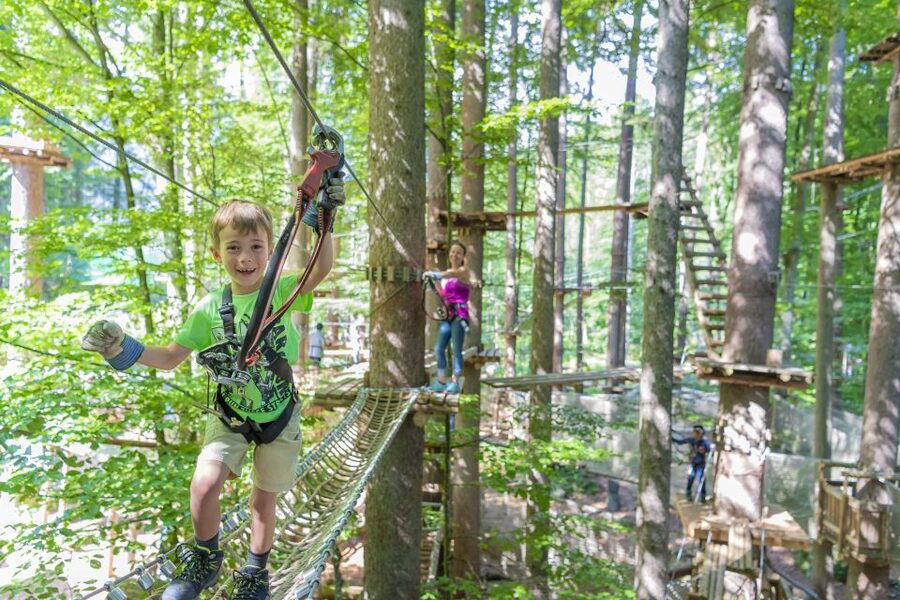 Rope Park Interlaken: Climbing Adventure with Entry Ticket - Safety gear, harnessing up, and the briefing that matters