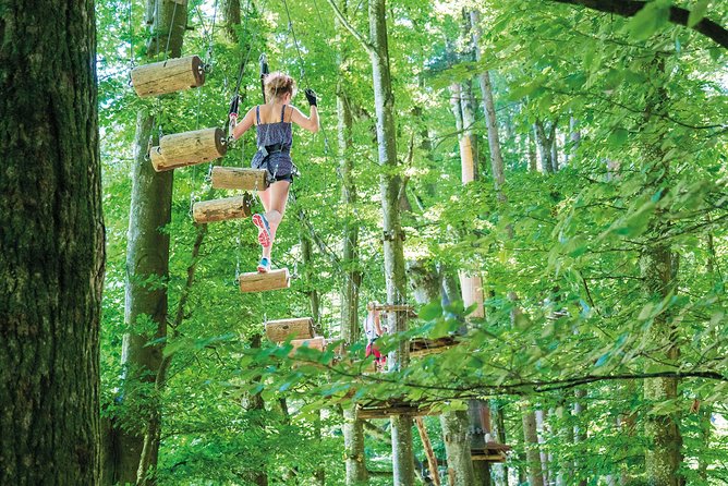Ropes Park Interlaken - Ropes Park Interlaken in plain terms: forest, height, and real movement