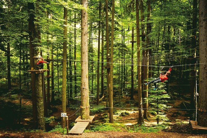 Ropes Park Interlaken - Who should go: fitness level, weight limits, and the kid height rules