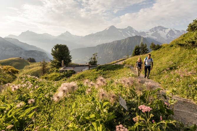 Schynige Platte Cogwheel Railway Return Ticket - Hiking at the top: short pauses beat long struggle