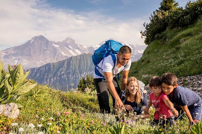 Schynige Platte Cogwheel Railway Return Ticket - Small group energy, big independence