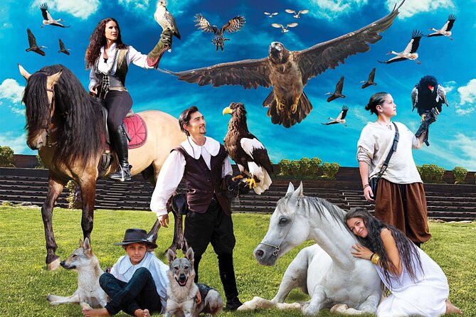 Skip the Line: Falconeria Locarno Ticket - Timing Matters: When the Shows Run in Summer