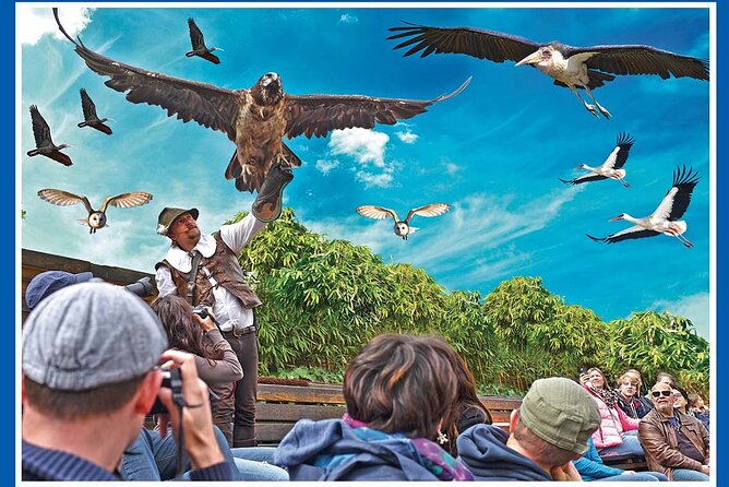 Skip the Line: Falconeria Locarno Ticket - Park Time Before or After: More Than Just One Hour