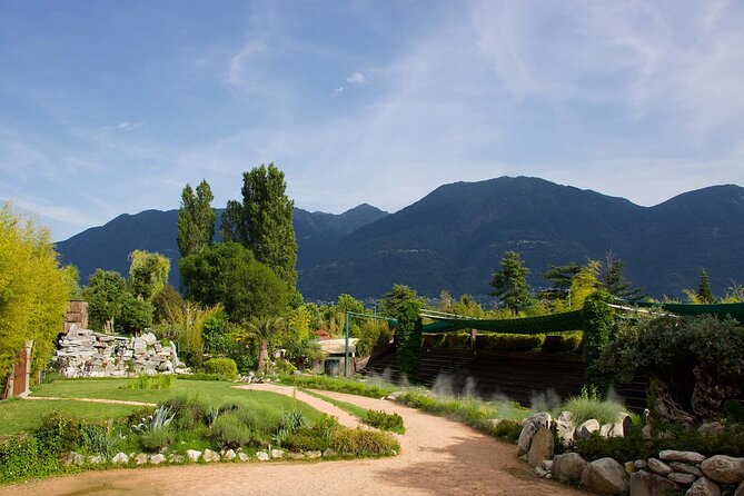 Skip the Line: Falconeria Locarno Ticket - Getting There: Near Public Transportation, Easy Park Access