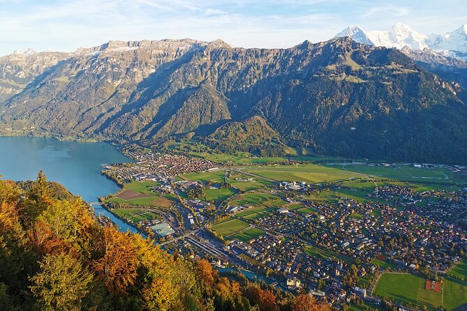 Small group tour to Interlaken with driver guide - Driver guide expectations: facts on the road, freedom in town
