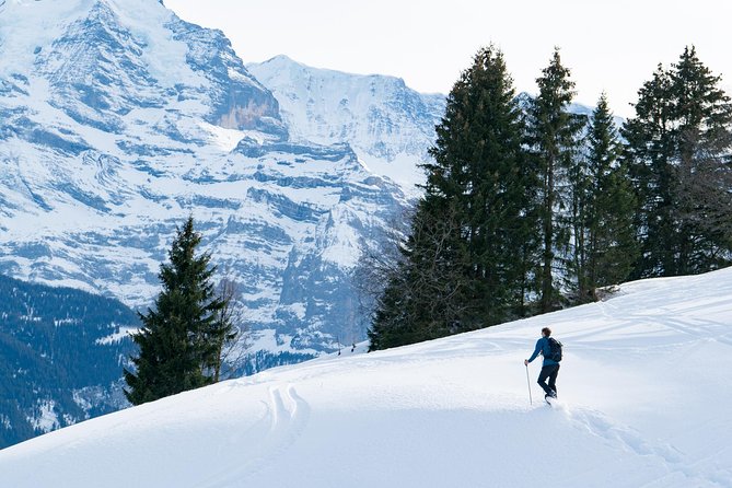 Snowshoe Adventure in the Swiss Alps - Key Points You Should Know Before You Go