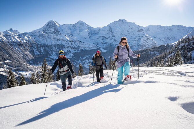 Snowshoe Adventure in the Swiss Alps - Interlaken Snowshoeing That Lets the Alps Feel Close, Not Crowded