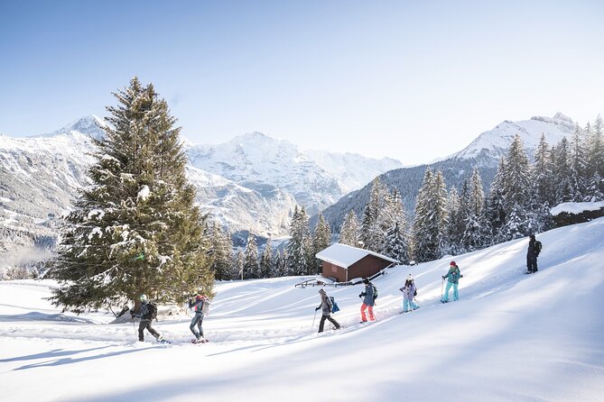Snowshoe Adventure in the Swiss Alps - What You Get: Snowshoes, Poles, Boots, and the Rental Gaps to Plan For