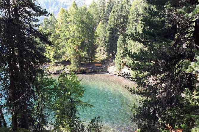 St Moritz Private Guided Panorama Hike - Price and timing: does $673.42 per person make sense for you?