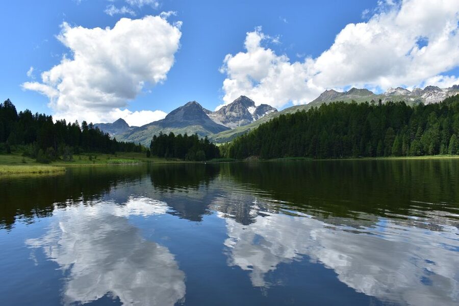 St. Moritz: Private Guided Town Highlights Walking Tour - Guides, languages, and the kind of attention you want
