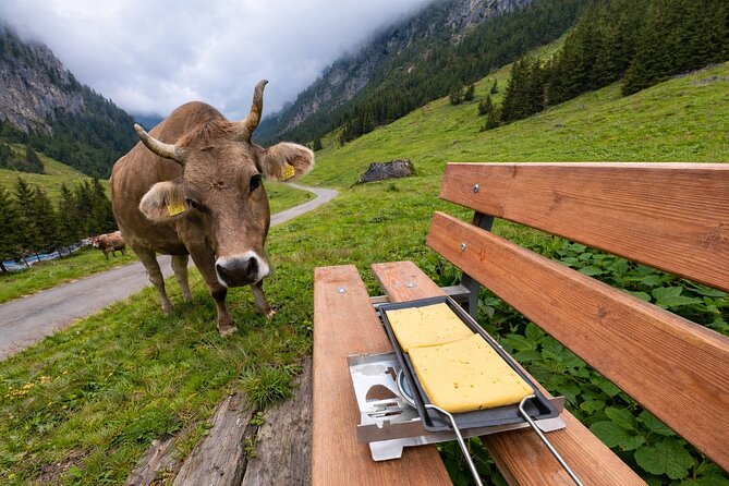 Swiss Alps and Waterfalls Private Tour from Zurich - Schächental Valley: farms, meadows, and quiet time