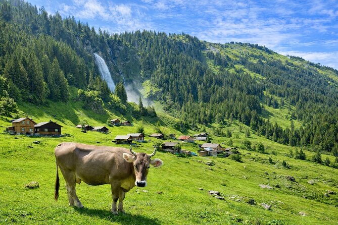 Swiss Alps and Waterfalls Private Tour from Zurich - Urnerboden: Switzerland’s largest alp picnic and a raclette cooking lesson