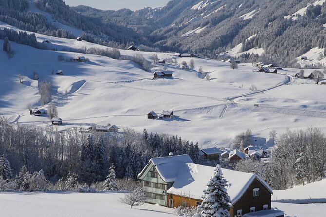 Swiss Alps and Waterfalls Private Tour from Zurich - Pickup and pacing: the Zurich start that sets the tone