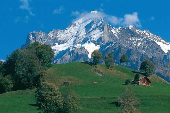 Swiss Alps: Interlaken and Grindelwald Day Trip from Zurich - Grindelwald, Glacier Village Energy, and Mt. First Up in Summer