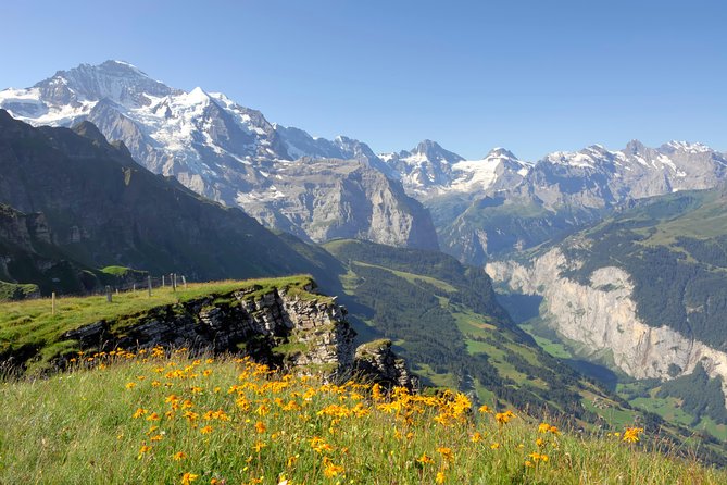 Swiss Alps: Interlaken and Grindelwald Day Trip from Zurich - How the Timing Works on an 11.5 Hour Day Trip