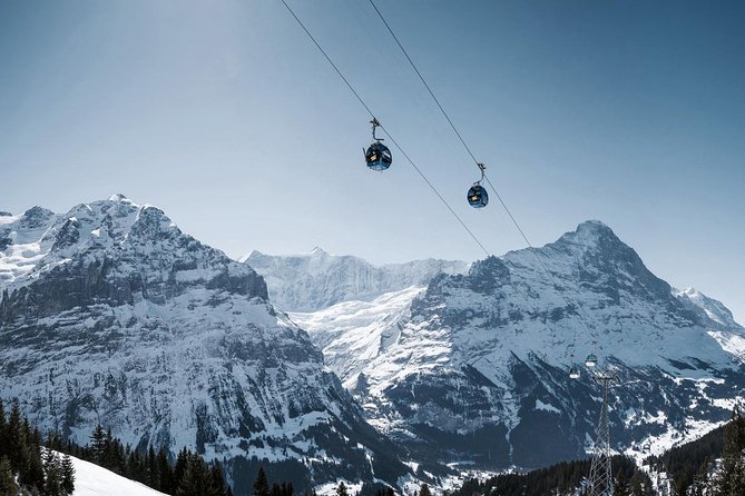 Swiss Alps: Interlaken and Grindelwald Day Trip from Zurich - Who Should Book This Interlaken and Grindelwald Coach Day Trip
