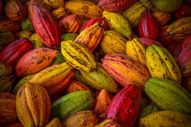 Swiss Chocolate Tasting Experience | Basel - Practical tips for tasting, so you get more than dessert