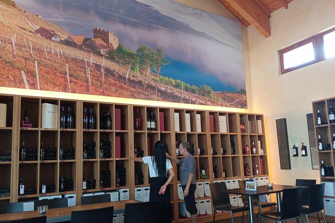 Swiss Vineyard Wine Tasting Tour in Vaud - Lavaux Vinorama: quick lake photos with a waterfall moment