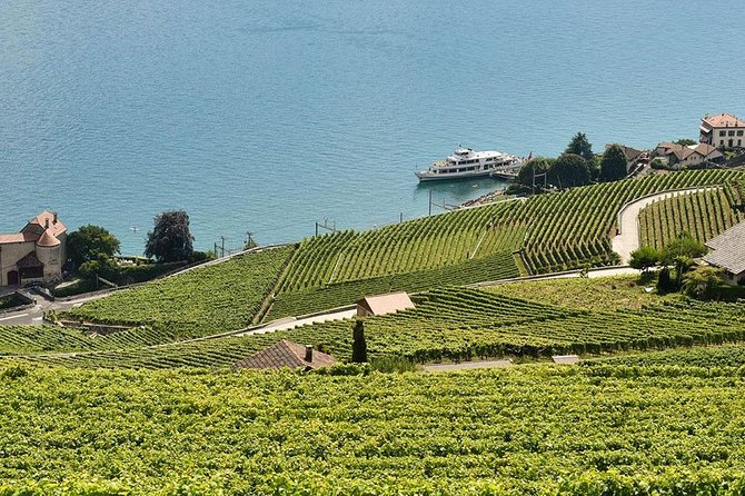 Swiss Wine Tasting at Lavaux Vineyards: Private Trip from Geneva - Key highlights you should care about