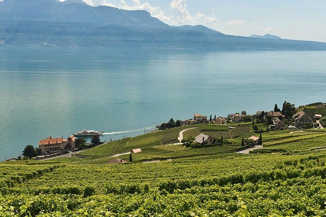 Swiss Wine Tasting at Lavaux Vineyards: Private Trip from Geneva - The Lavaux view you understand fast from the road