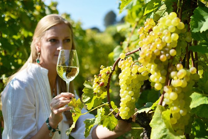 Swiss Wine Tasting at Lavaux Vineyards: Private Trip from Geneva - Logistics that make this feel worth the price