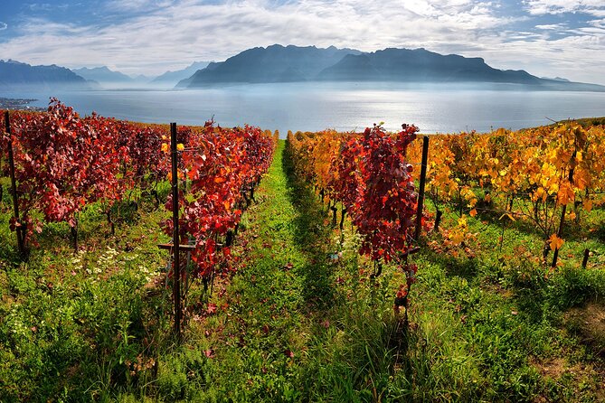 Swiss Wine Tasting at Lavaux Vineyards: Private Trip from Geneva - Who this tour fits best, and who might want something else