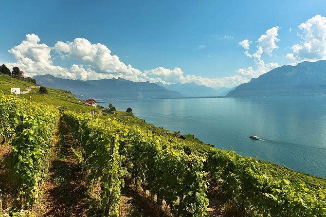 Swiss Wine Tasting at Lavaux Vineyards: Private Trip from Geneva - Private Geneva pickup, plus the calm of having a driver