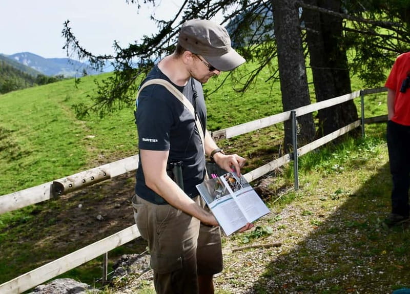 Switzerland: Private nature safari with a local guide. Check out the Alps, lakes, and more - A ranger-led nature safari that feels like you’re reading the land