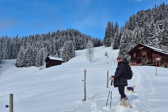 The best Sunset hike with Cheese Fondue - Key highlights to clock before you go
