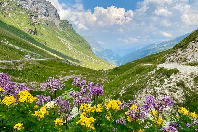 The natural wonders of Switzerland: private tour from Basel (1 day) - Chocolate stop at House of Läderach, plus the renovation reality check