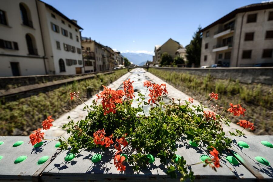 Tirano: Bernina Red Train and Cablecar to Diavolezza Refuge - Who This Trip Suits Best (and Who Should Rethink It)