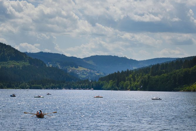 Trip from Zurich to Germany's Black Forest & Swiss Rhine Falls - A long day that hits the best spots between Zurich and Germany