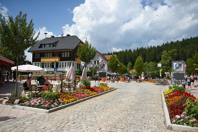 Trip from Zurich to Germany's Black Forest & Swiss Rhine Falls - Lake Titisee: forested calm after the falls