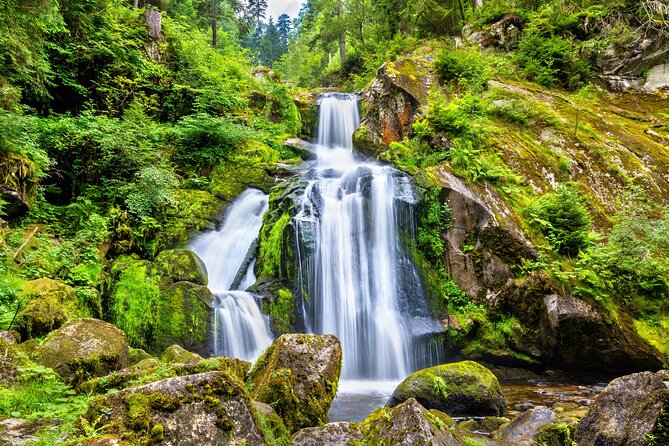 Trip from Zurich to Germany's Black Forest & Swiss Rhine Falls - Who this tour suits best (and who might want alternatives)