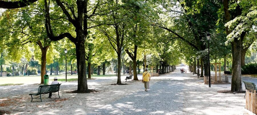 Unusual Audio Tour of Geneva - When this tour is a great fit, and when to skip