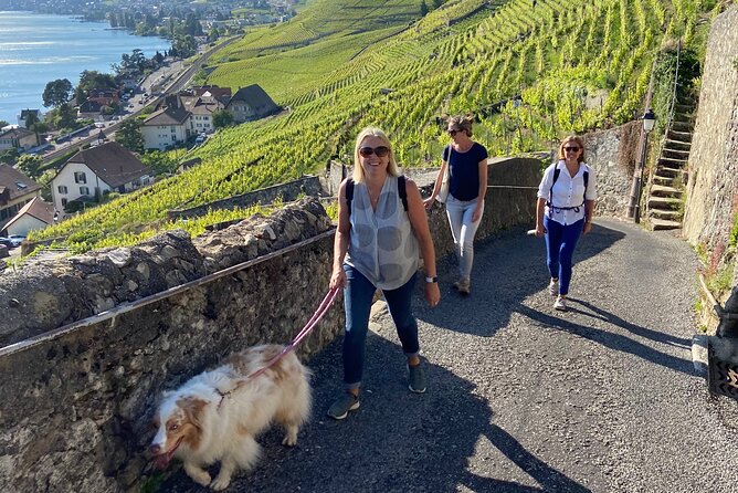 Vine Stories: Lavaux & Lutry wine walk - Key highlights at a glance