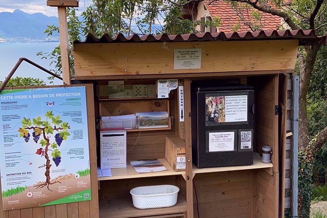 Vine Stories: Lavaux & Lutry wine walk - Why Lavaux terraces work so well on foot
