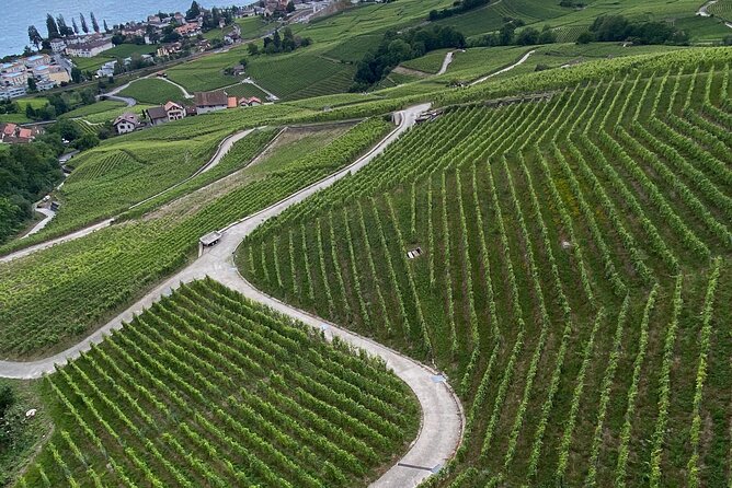 Vine Stories: Lavaux & Lutry wine walk - What you learn about Swiss winemaking and Lavaux history