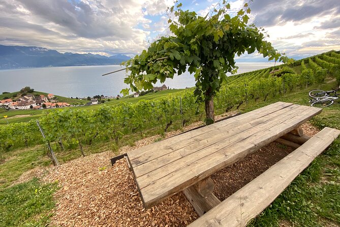 Vine Stories: Lavaux & Lutry wine walk - Grandvaux wine hike: your first 2.5 hours of vines