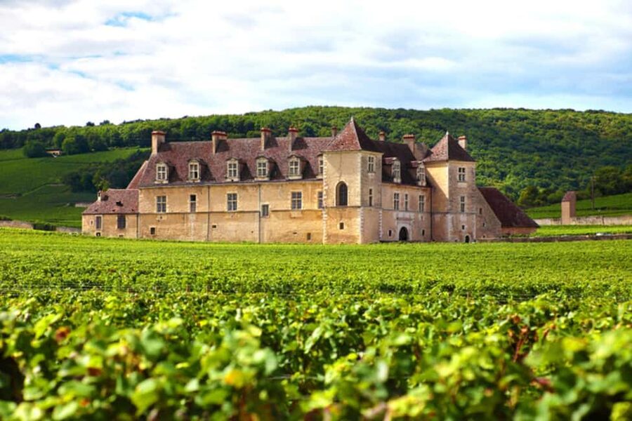 Wine tour in the canton of Vaud - Lavaux vineyards - Why Lavaux, and why this tour works for wine fans