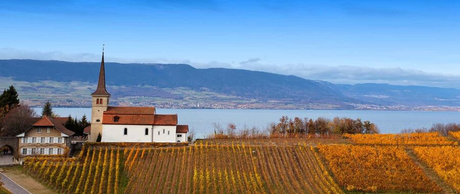 Wine tour in the canton of Vaud - Lavaux vineyards - The start of the day, pickups, and what to bring