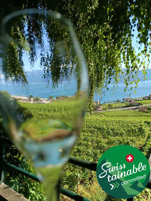 Wine tour in the canton of Vaud - Lavaux vineyards - Villages you pass through: Epesses, Lutry, and Saint-Saphorin
