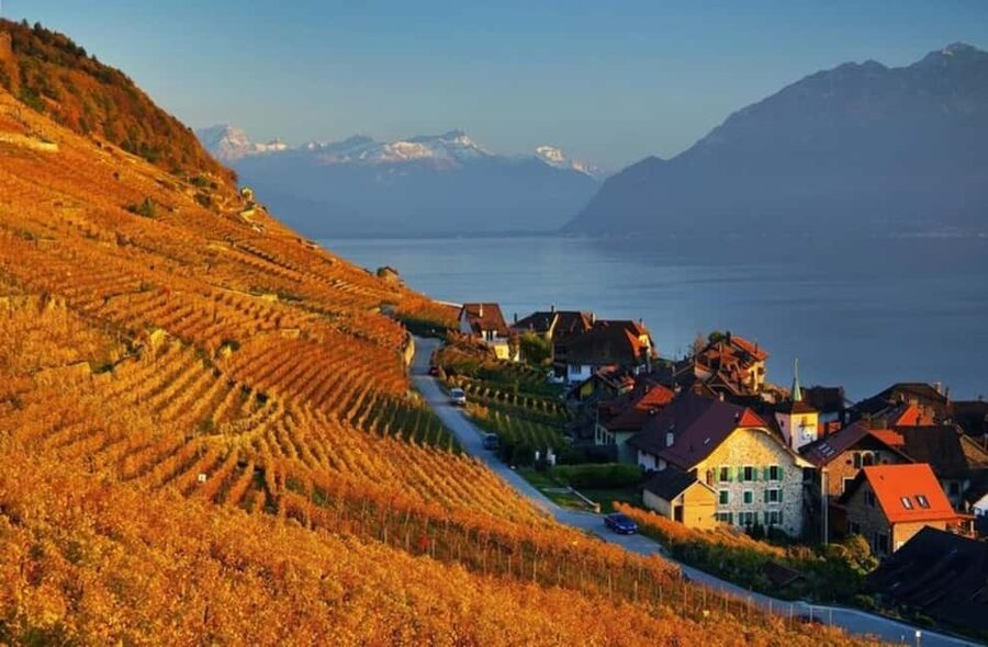 Wine tour in the canton of Vaud - Lavaux vineyards - Chillon Castle: a history stop that doesn’t feel bolted on