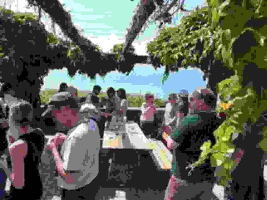 Wine tour in the canton of Vaud - Lavaux vineyards - The 13-wine tasting: what you’ll actually learn from the lineup