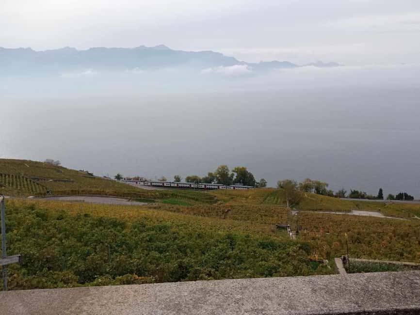 Wine tour in the canton of Vaud - Lavaux vineyards - Price and value: is $322 reasonable for what you get?