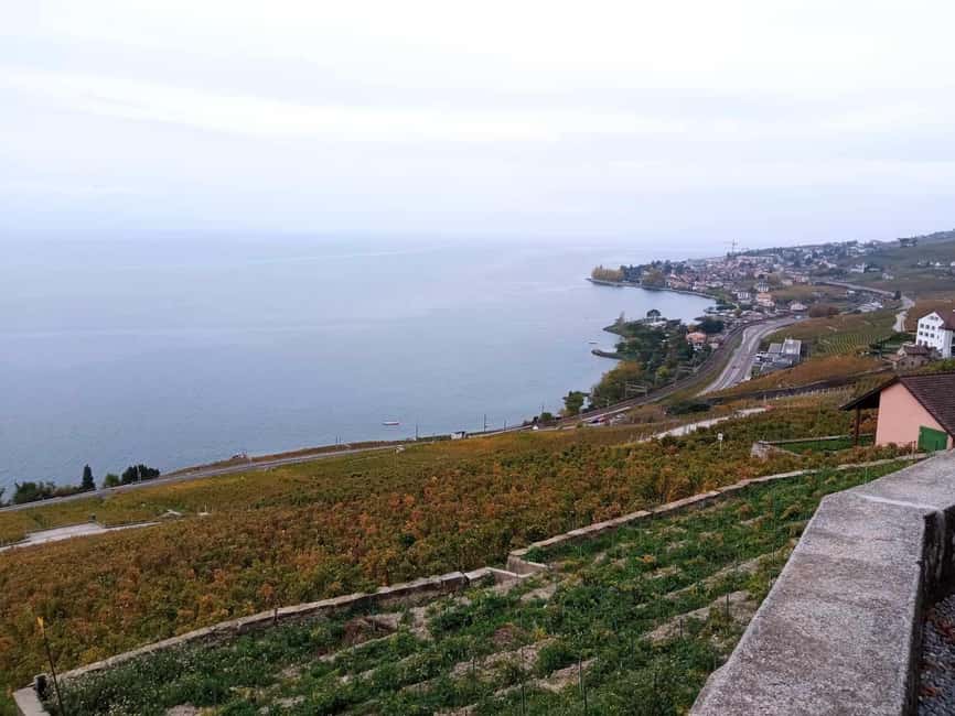 Wine tour in the canton of Vaud - Lavaux vineyards - Should you book this Lavaux and Chillon wine day?